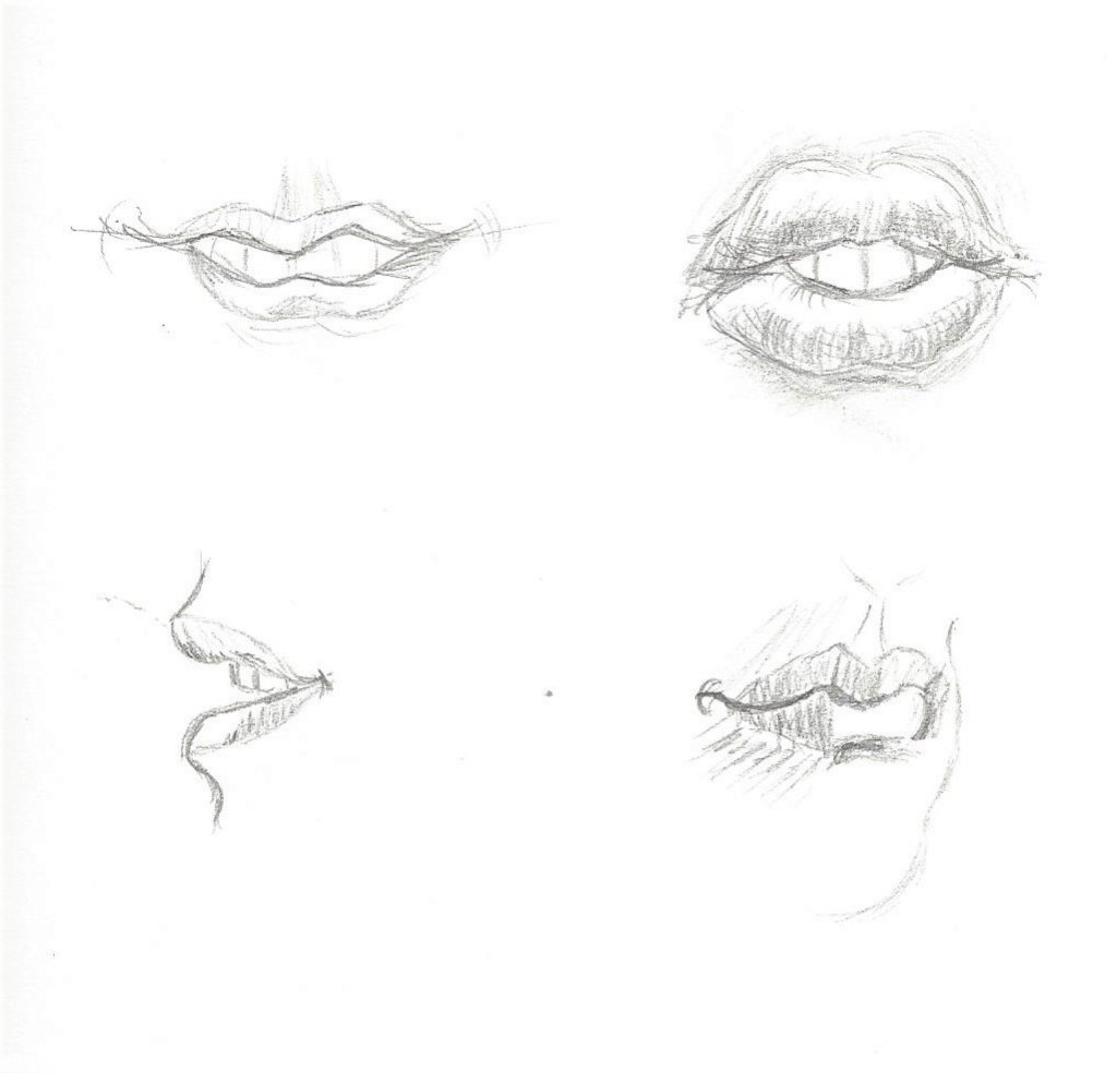 This image has an empty alt attribute; its file name is lips.jpeg
