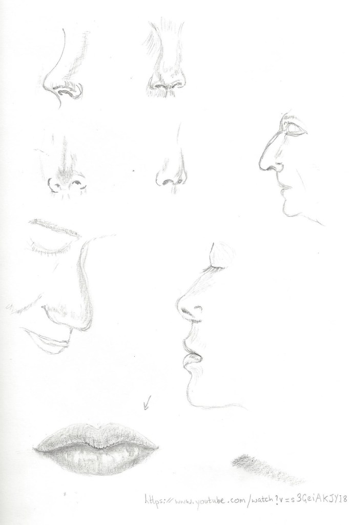 This image has an empty alt attribute; its file name is nose-and-lips.jpeg